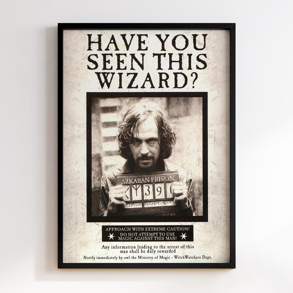 Постер Гаррі Поттер і В'язень Азкабана PPT66