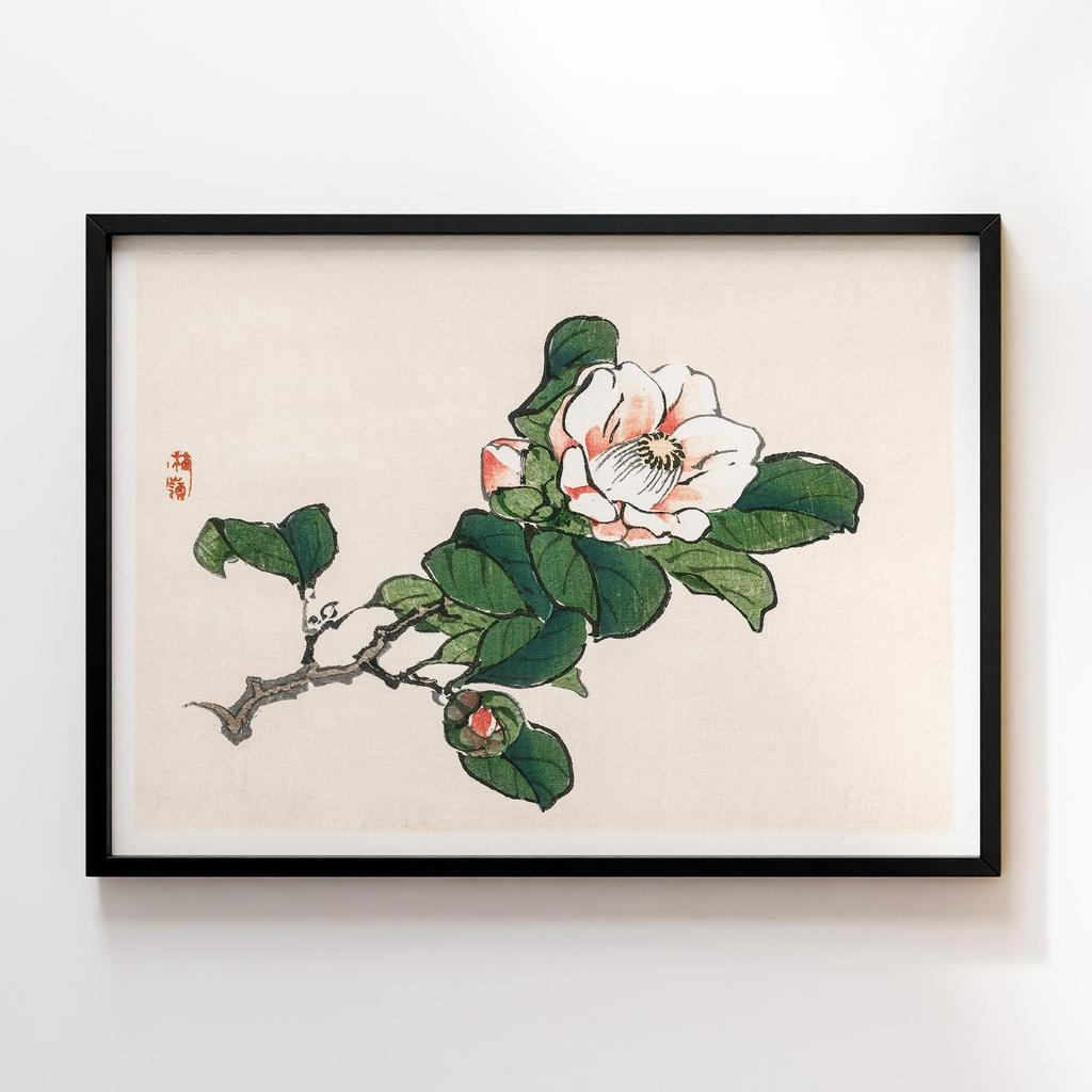 Постер Kono Bairei Camelia