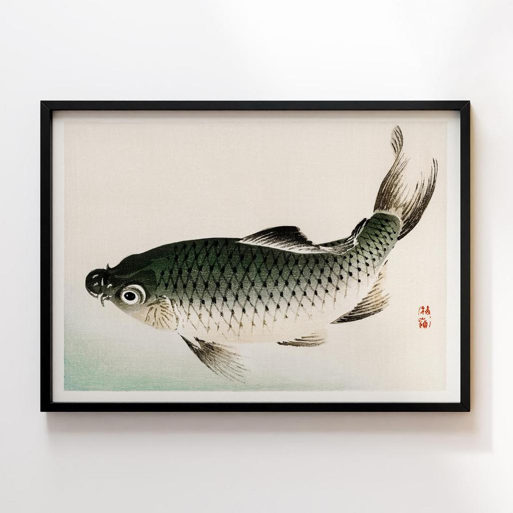 Постер Kono Bairei Carp