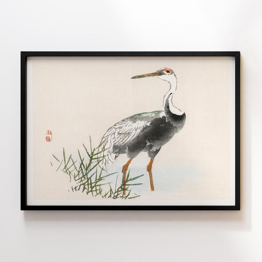 Постер Kono Bairei