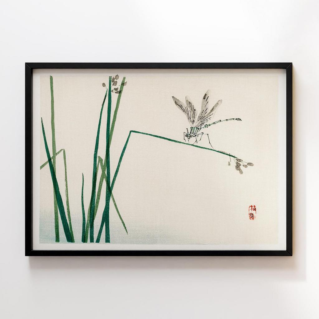 Постер Kono Bairei