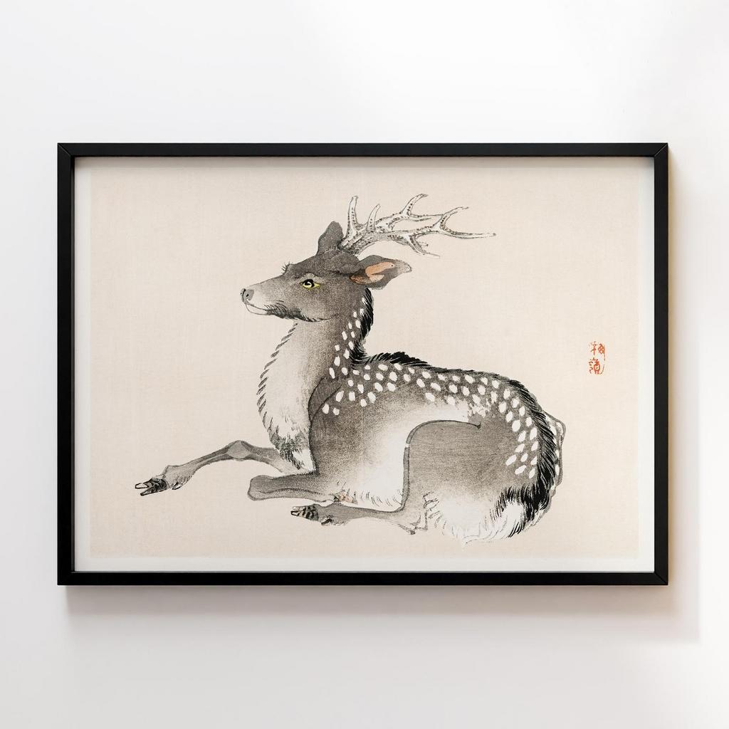 Постер Kono Bairei