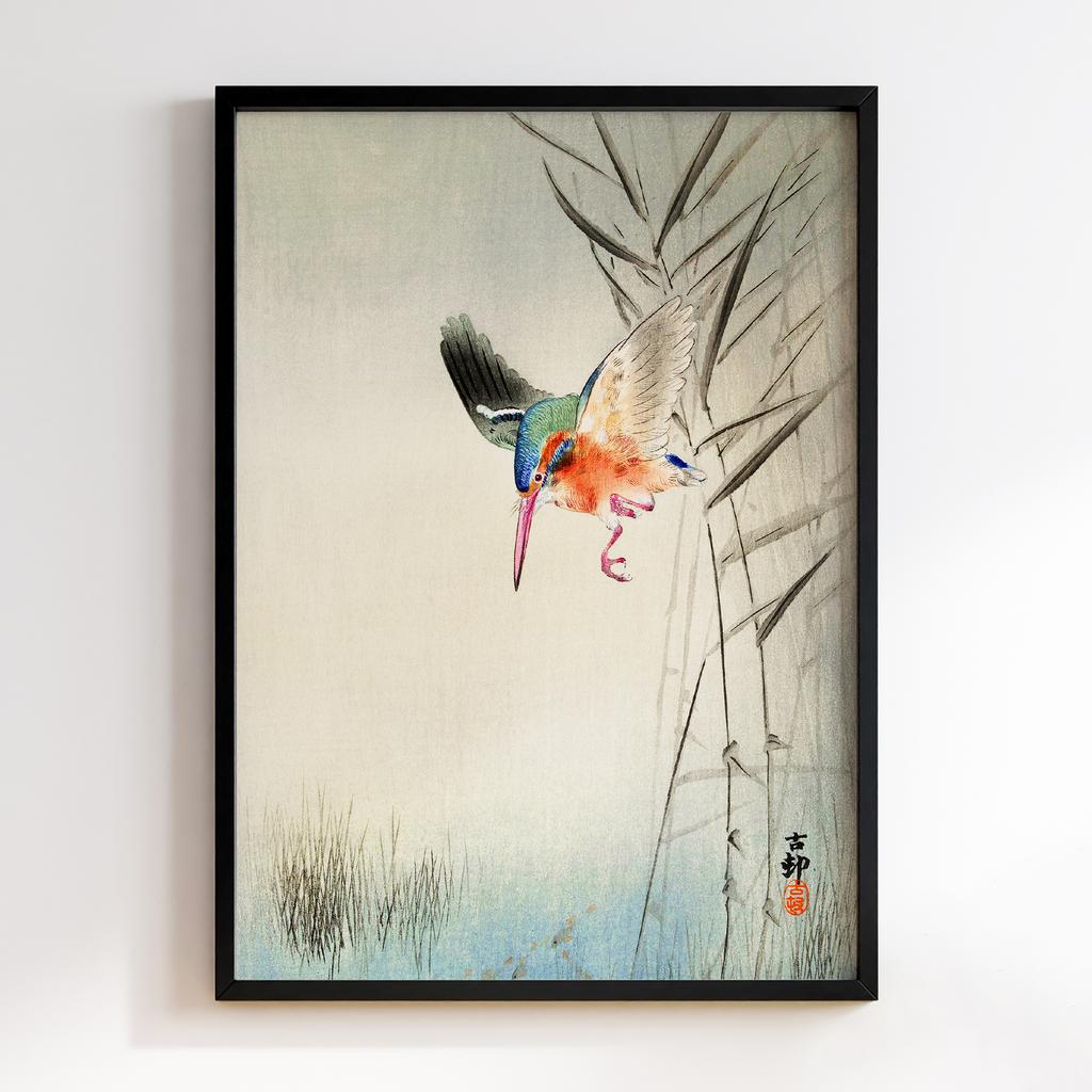 Постер Kingfisher hunting for fish in the water (1900) by Ohara Koson (1877-1945)