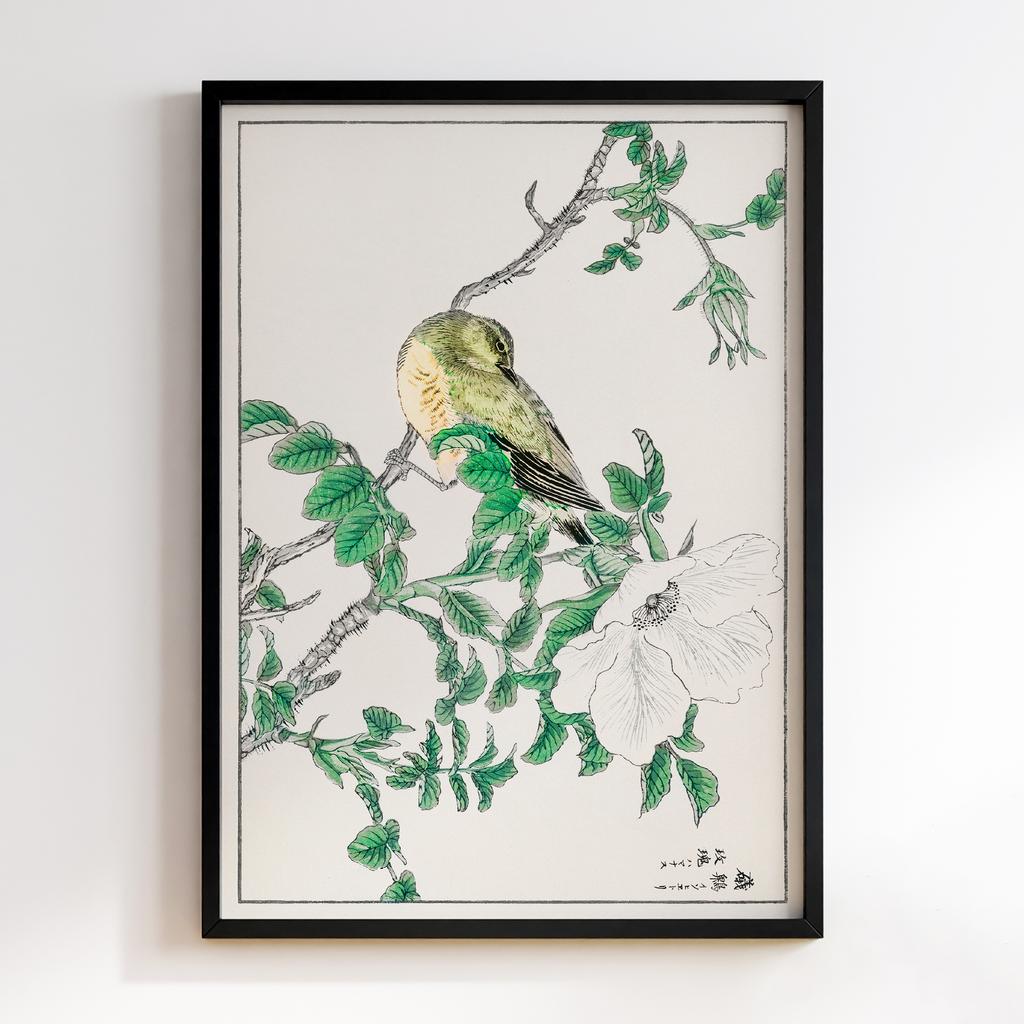 Постер Brown-eared Bulbul and Rosa Rugosa illustration by Numata Kashu