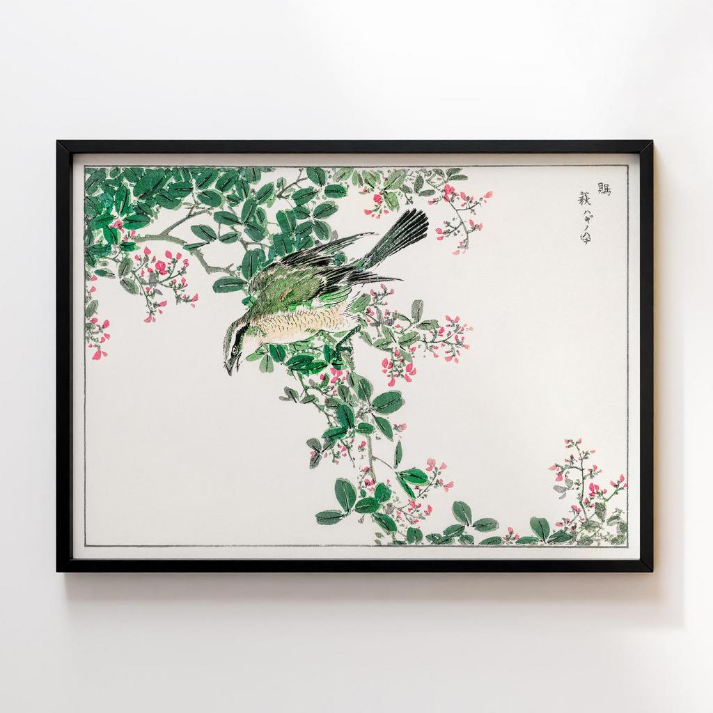 Постер Pictorial Monograph of Birds (1885) by Numata Kashu