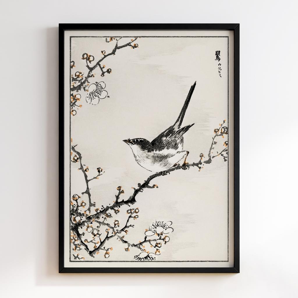 Постер Bush-warbler and White Plum Tree illustration by Numata Kashu