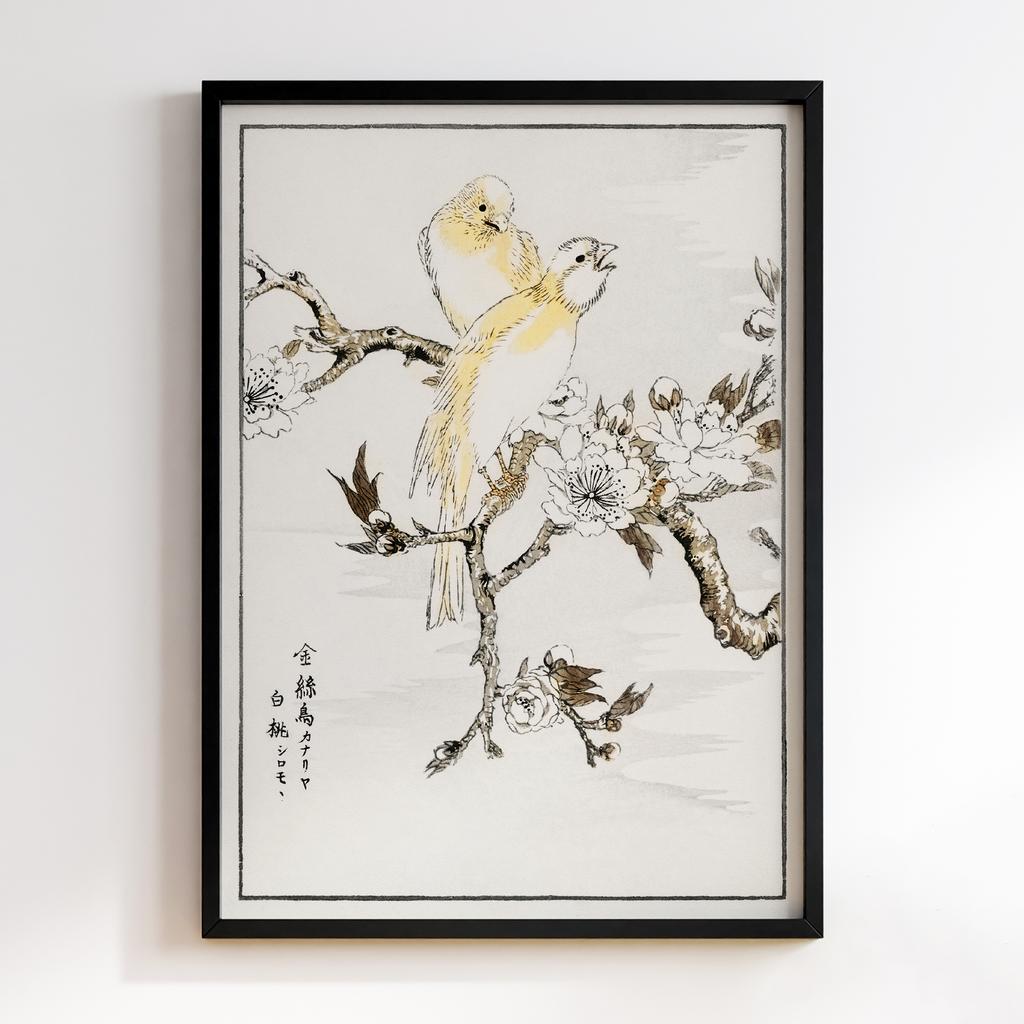 Постер Canary and Peach illustration by Numata Kashu