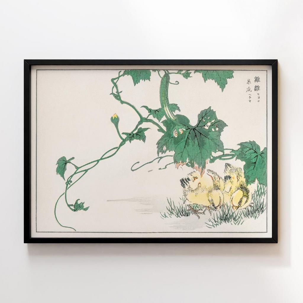 Постер Chick illustration by Numata Kashu