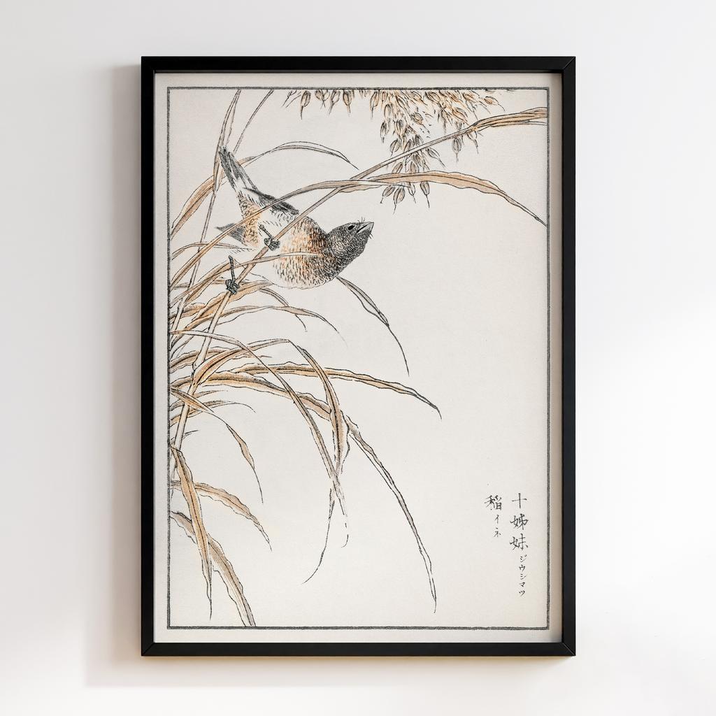 Постер Japanese Grey Bunting and Rise Plant illustration by Numata Kashu