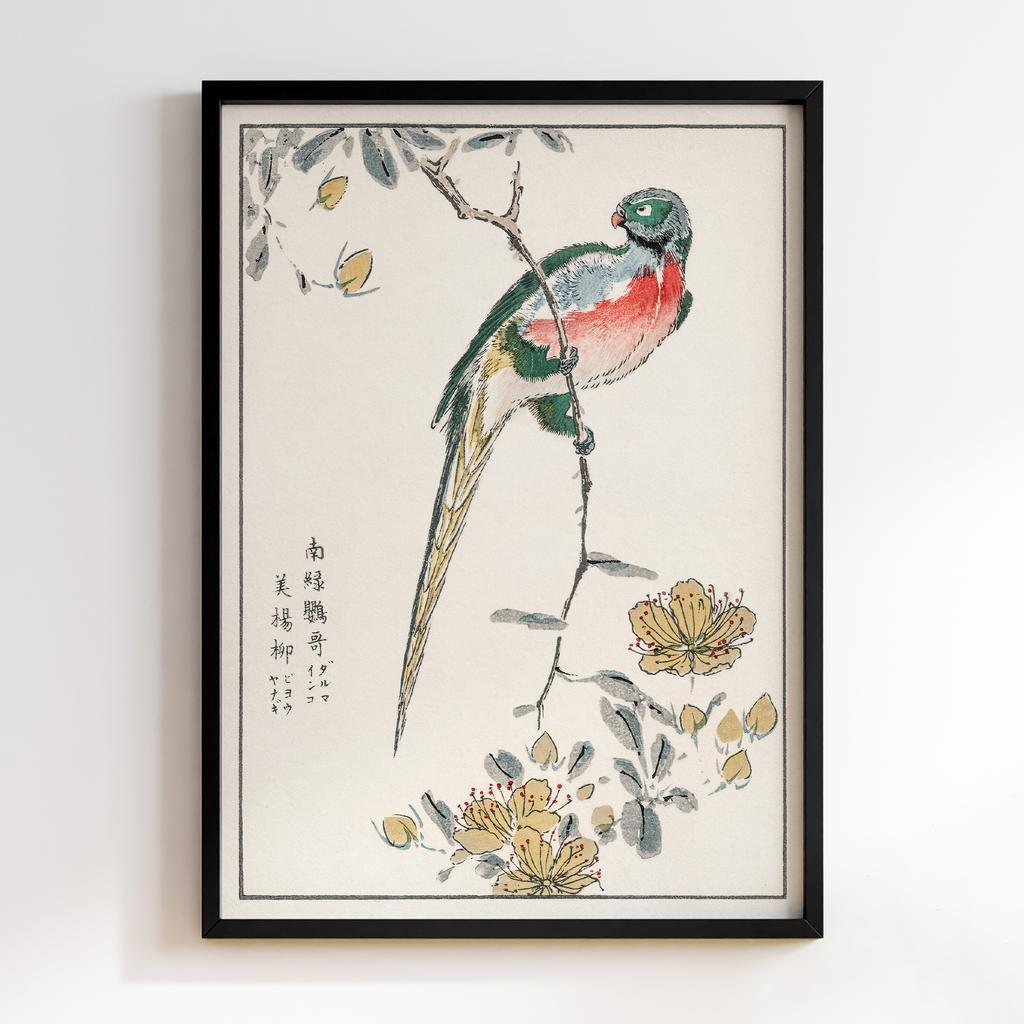 Постер Macaw and Drooping Peach illustration by Numata Kashu