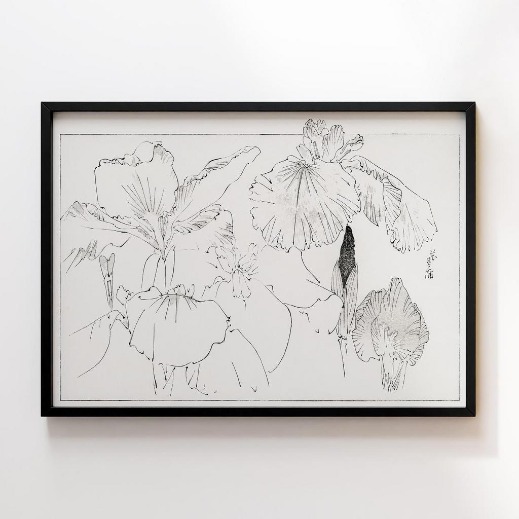 Постер Japanese iris illustration from Bijutsu Sekai (1893-1896) by Watanabe Seitei