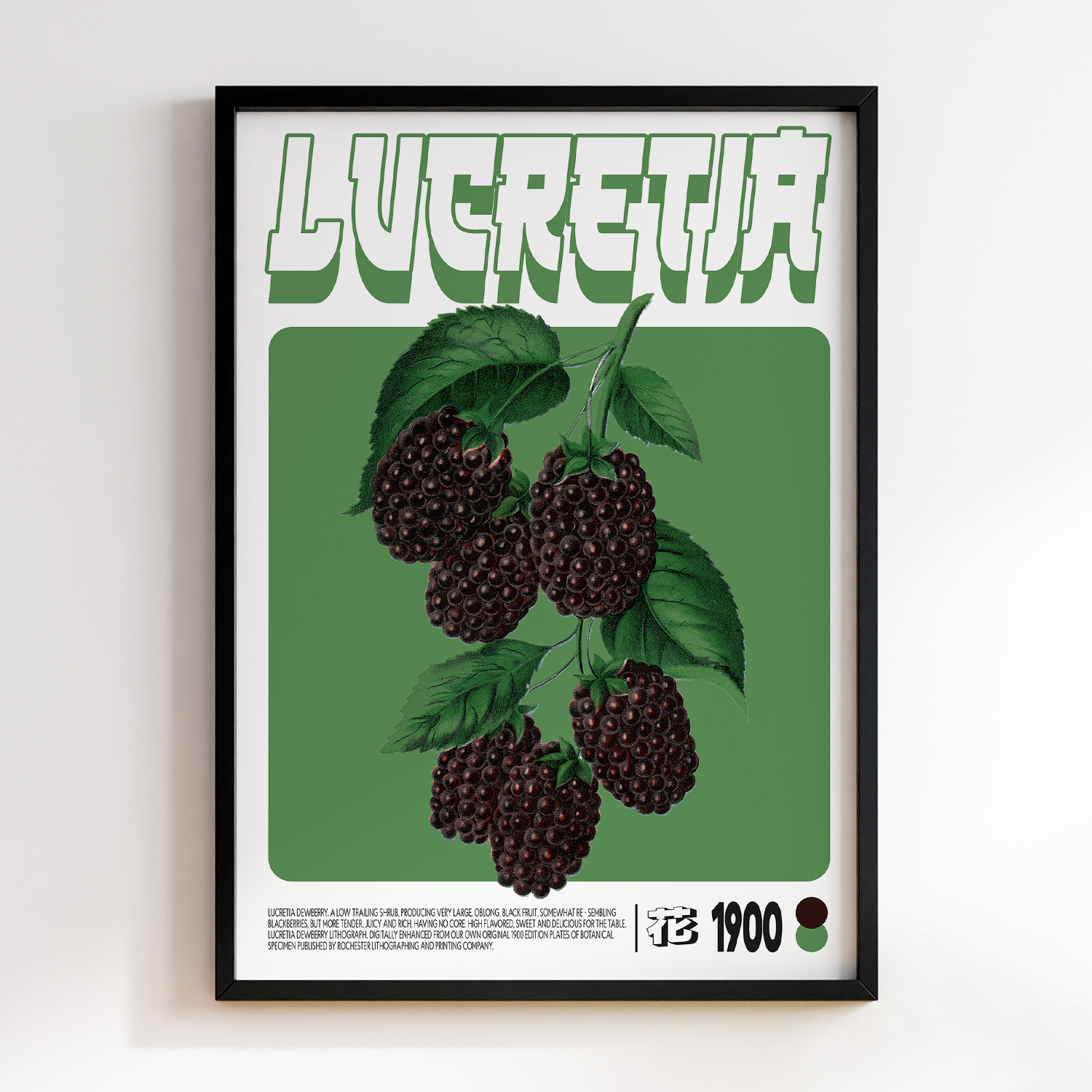 Lucretia
