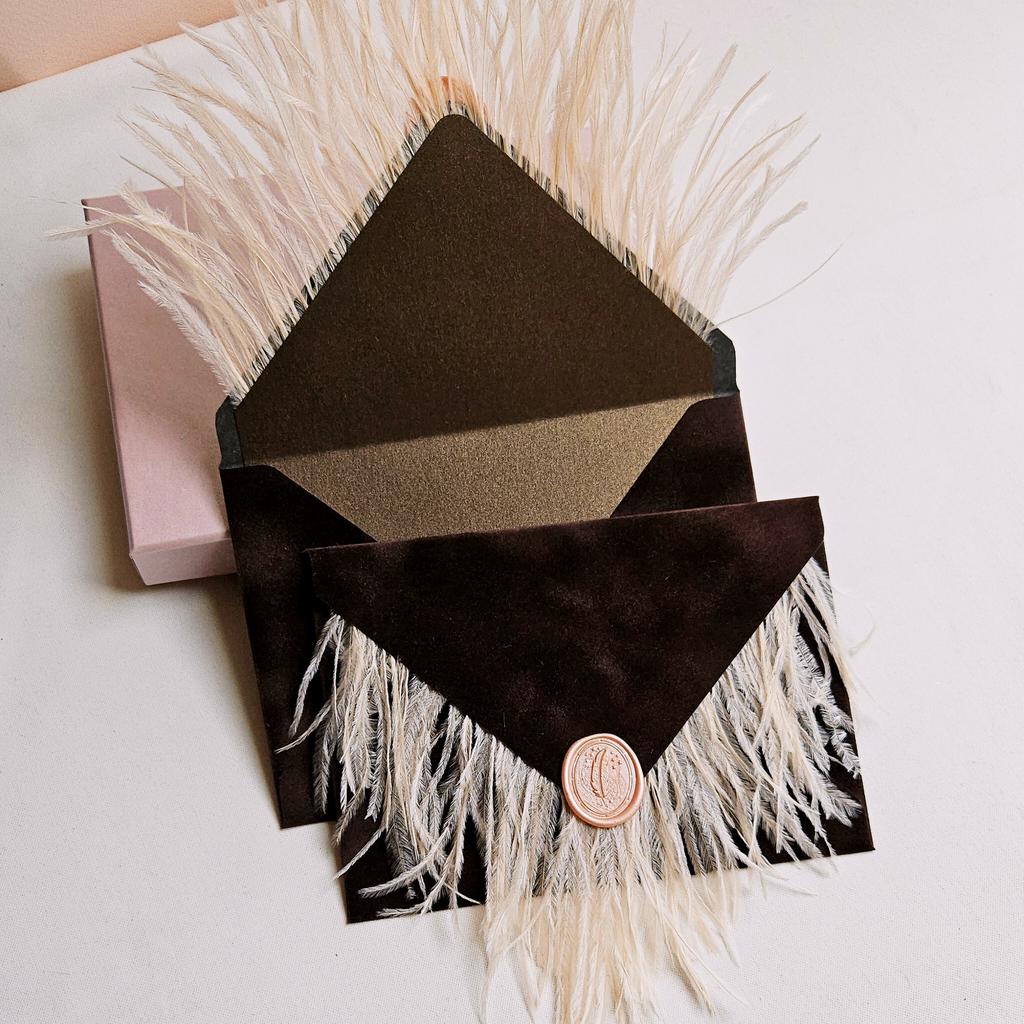 Конверт бархатний з пір'ям та сургучем. Шоколад