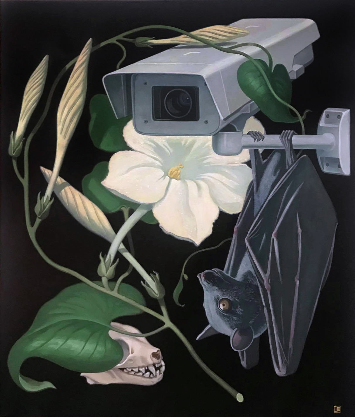 Herbarium XII