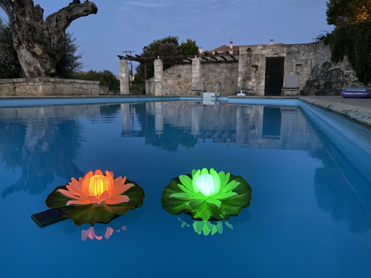 Світлодінамічна квітка "Водяна лілія"