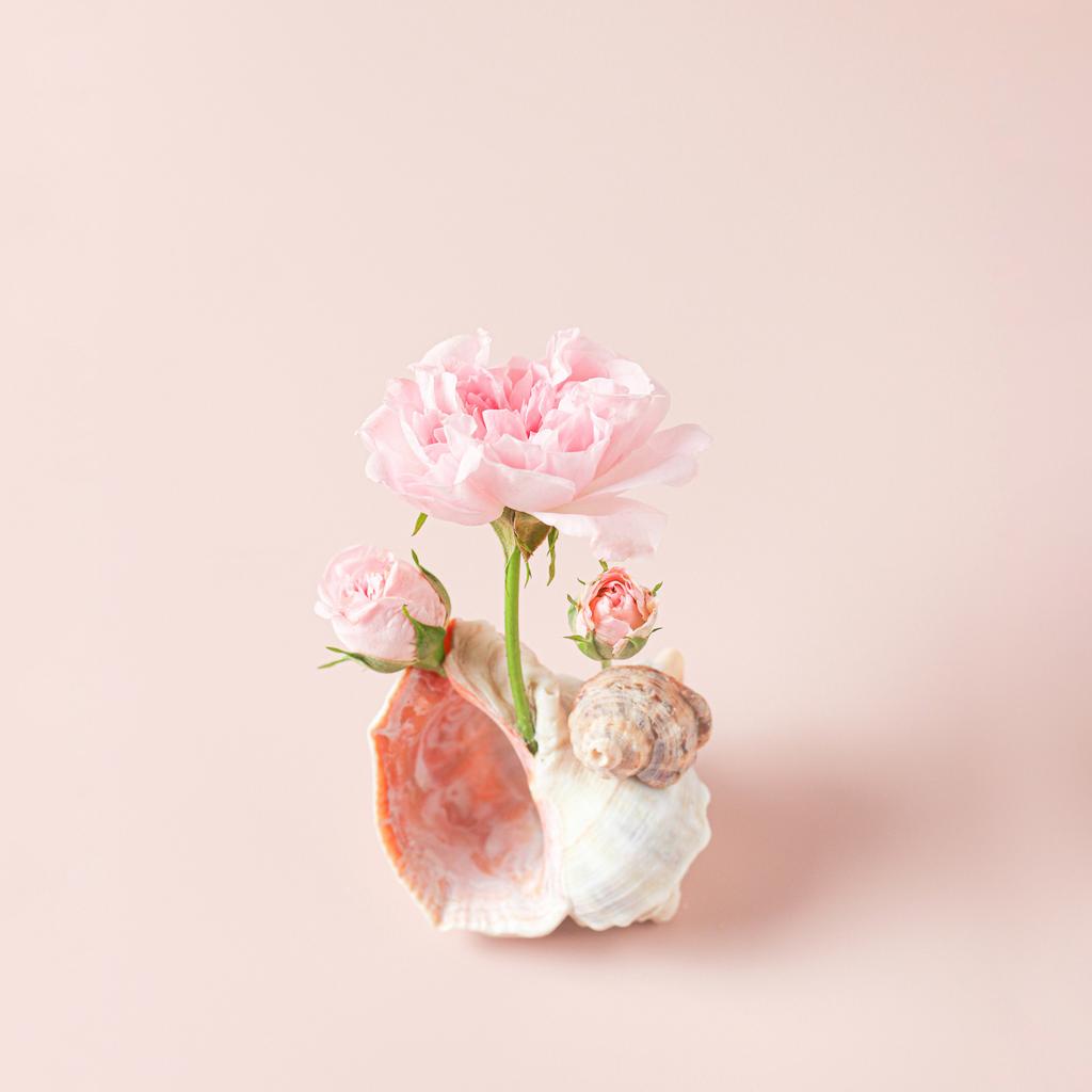 Tenderness from ‘The little summer book’ series