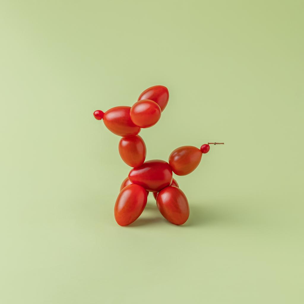 Balloon dog