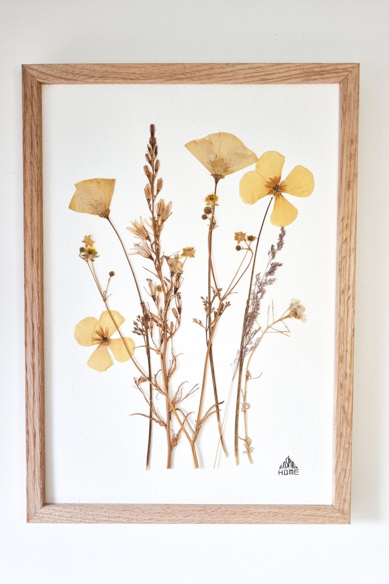 Herbier champ jaune