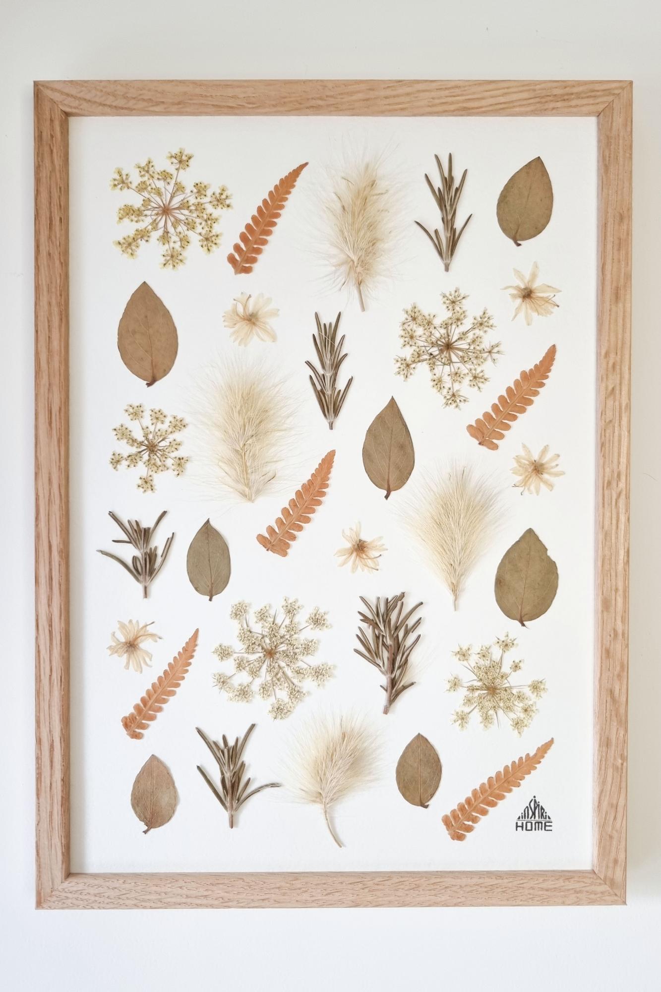 Herbier Douceur