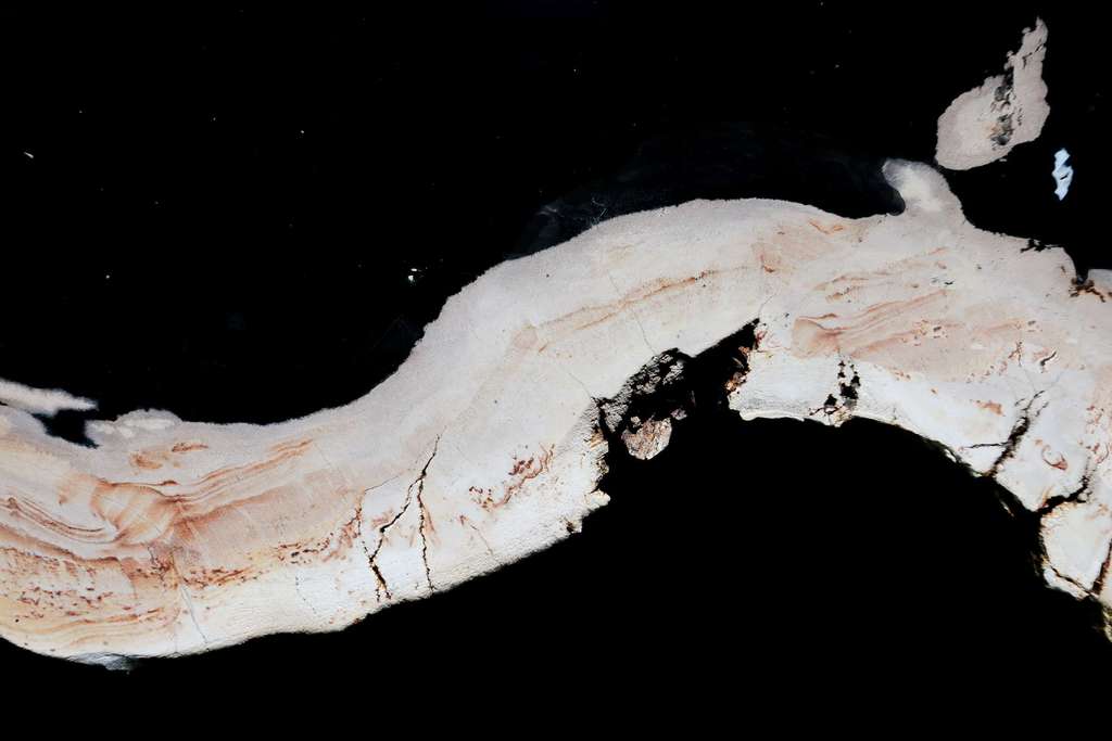 ABSTRACTION MINERAL BALI WOOD 002