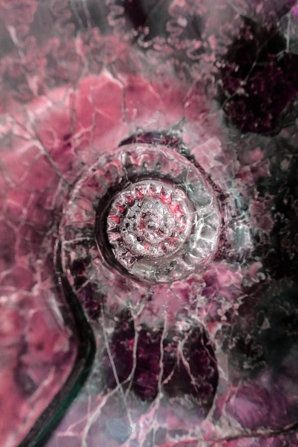 BAROQUE SHELL 006
