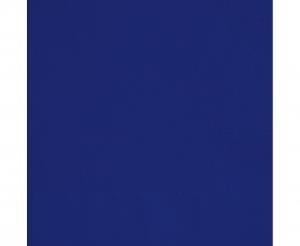 Salvetes zilas 25x25 cm, 20 gab