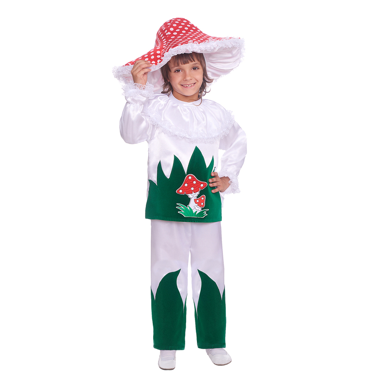 ГРИБ МУХОМОР МАЛЬЧИК