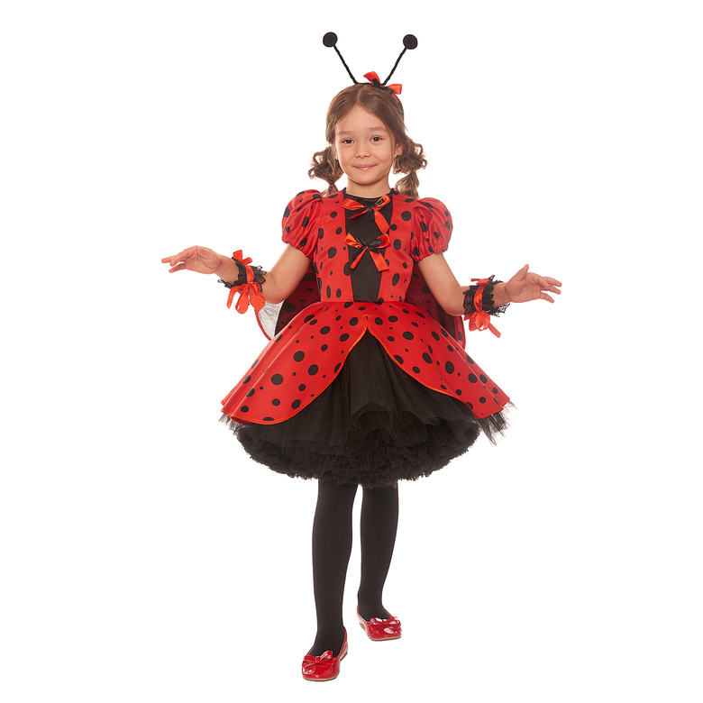 БОЖЬЯ КОРОВКА