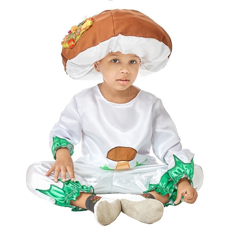 ГРИБ БОРОВИК