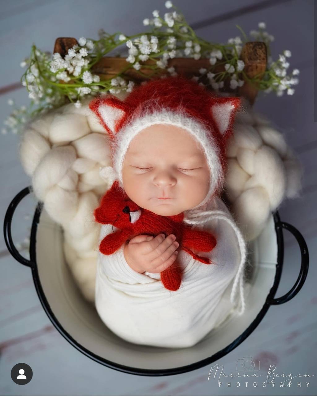 SET Fox