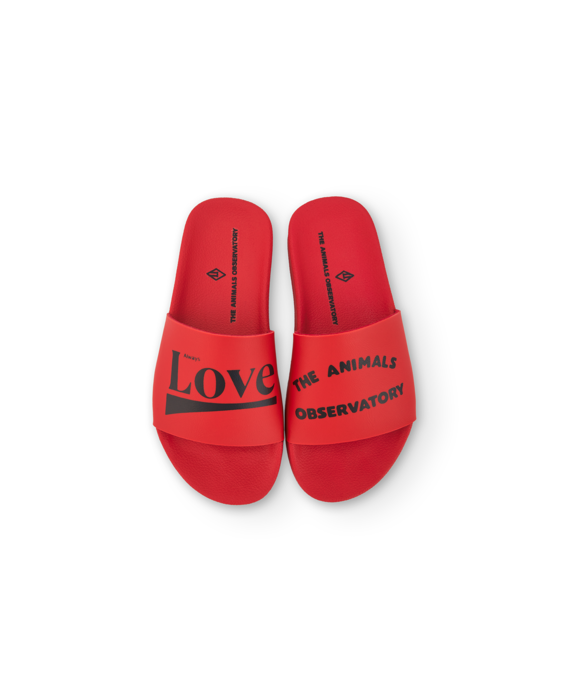 Шльопанці The Anaimals Observatory "Love", червоний