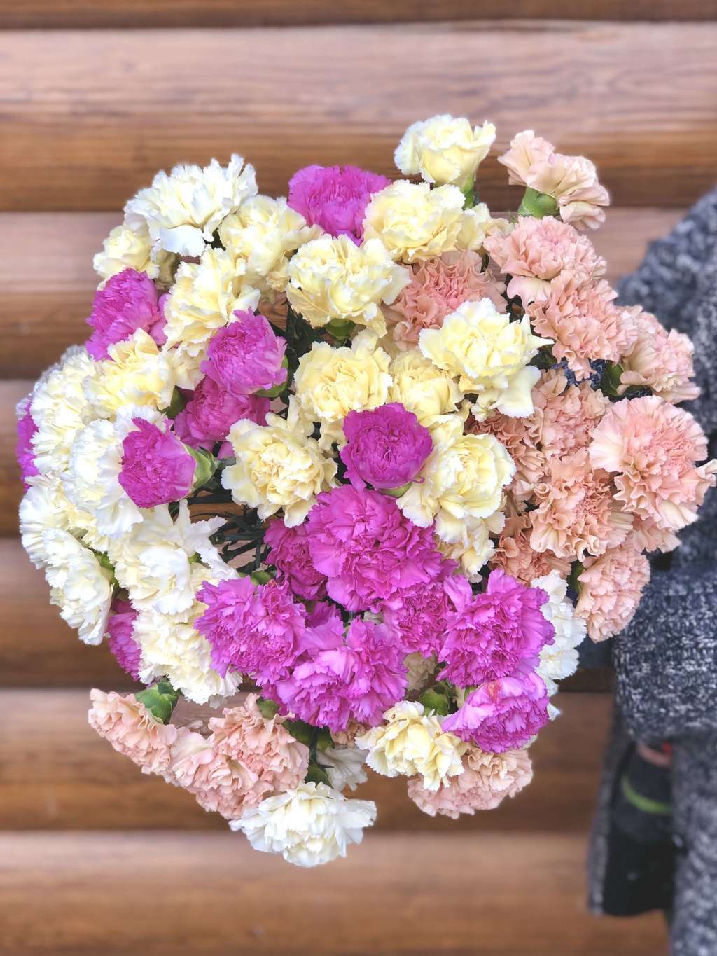 Гвоздики Микс