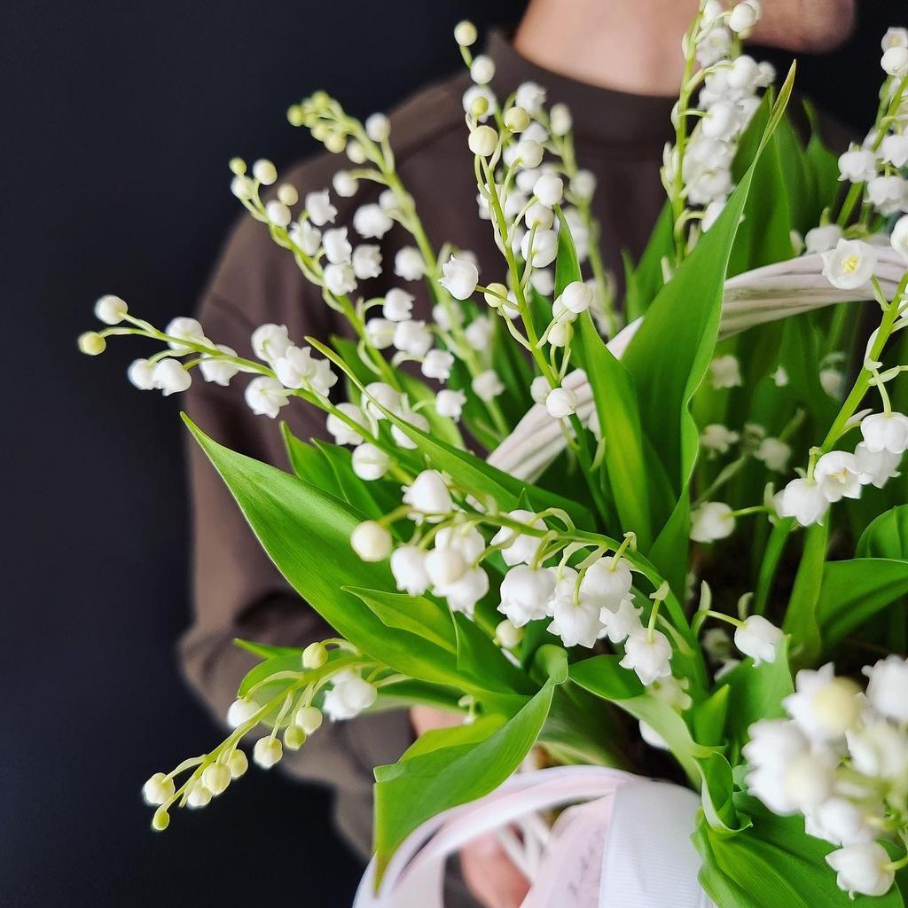 Convallaria Bordeaux - Lily-of-the-Valley