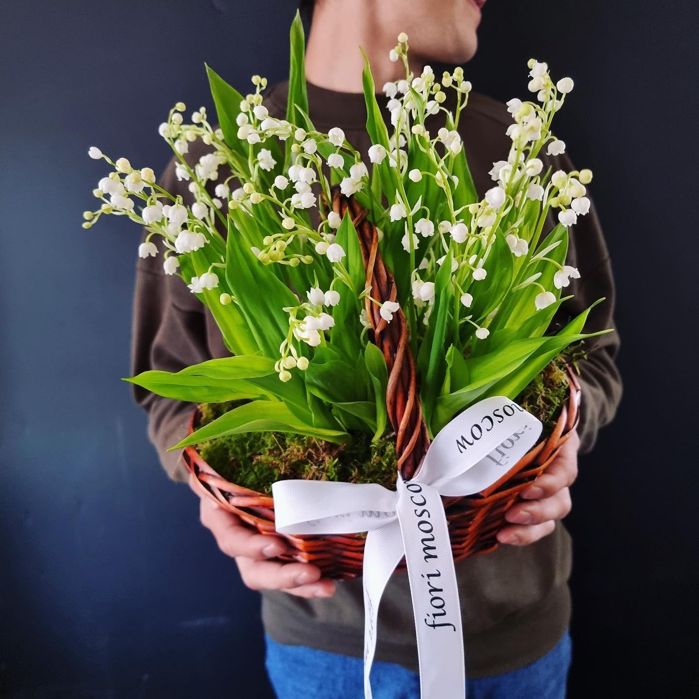 Convallaria Bordeaux - Lily-of-the-Valley