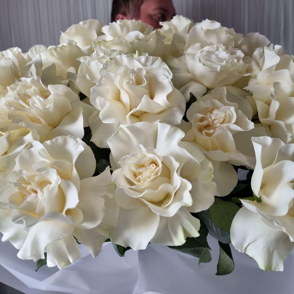 РОЗА МОНДИАЛЬ