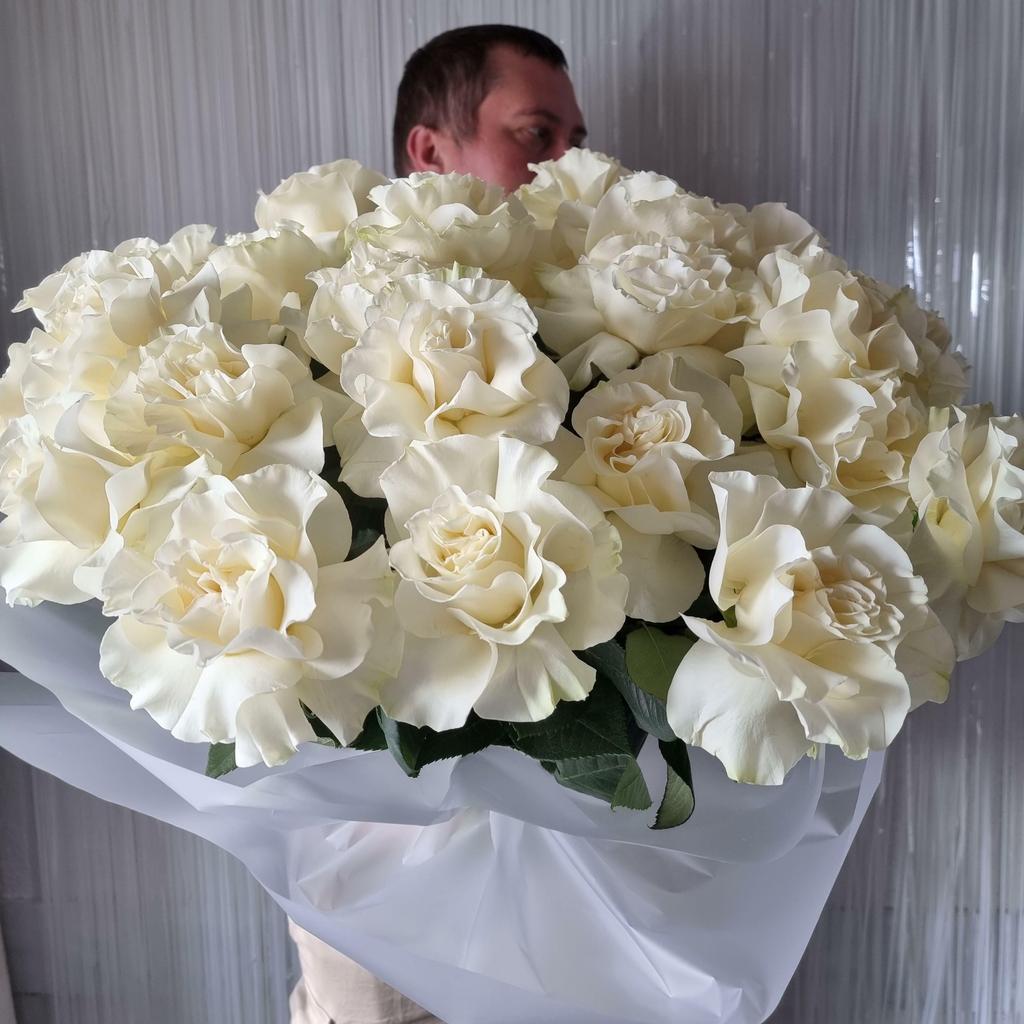 РОЗА МОНДИАЛЬ