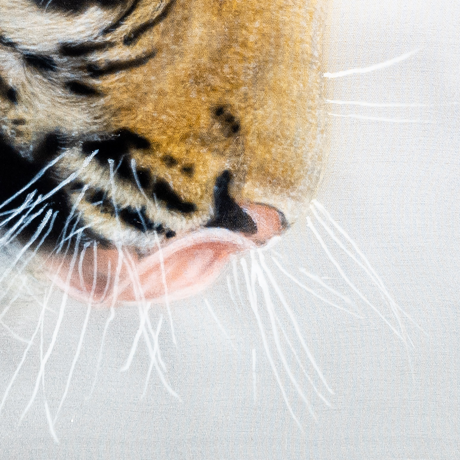 Tiger Portrait -  Hyperrealistic tiger portrait painted on pure silk