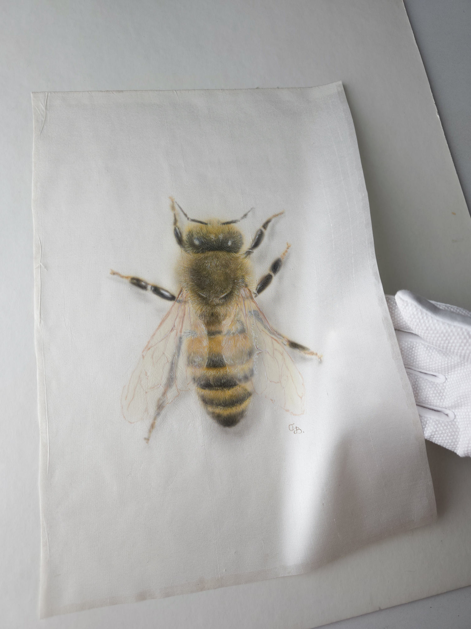 Golden flight -  Hyperrealistic bee painted on pure silk