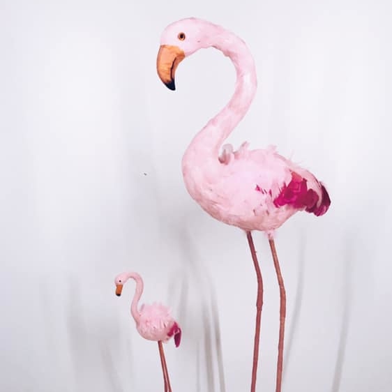 Фламінго муляж рожевий пір'я MU-012