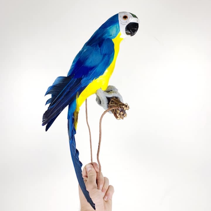 Папуга на гойдалці пір'я MU-018