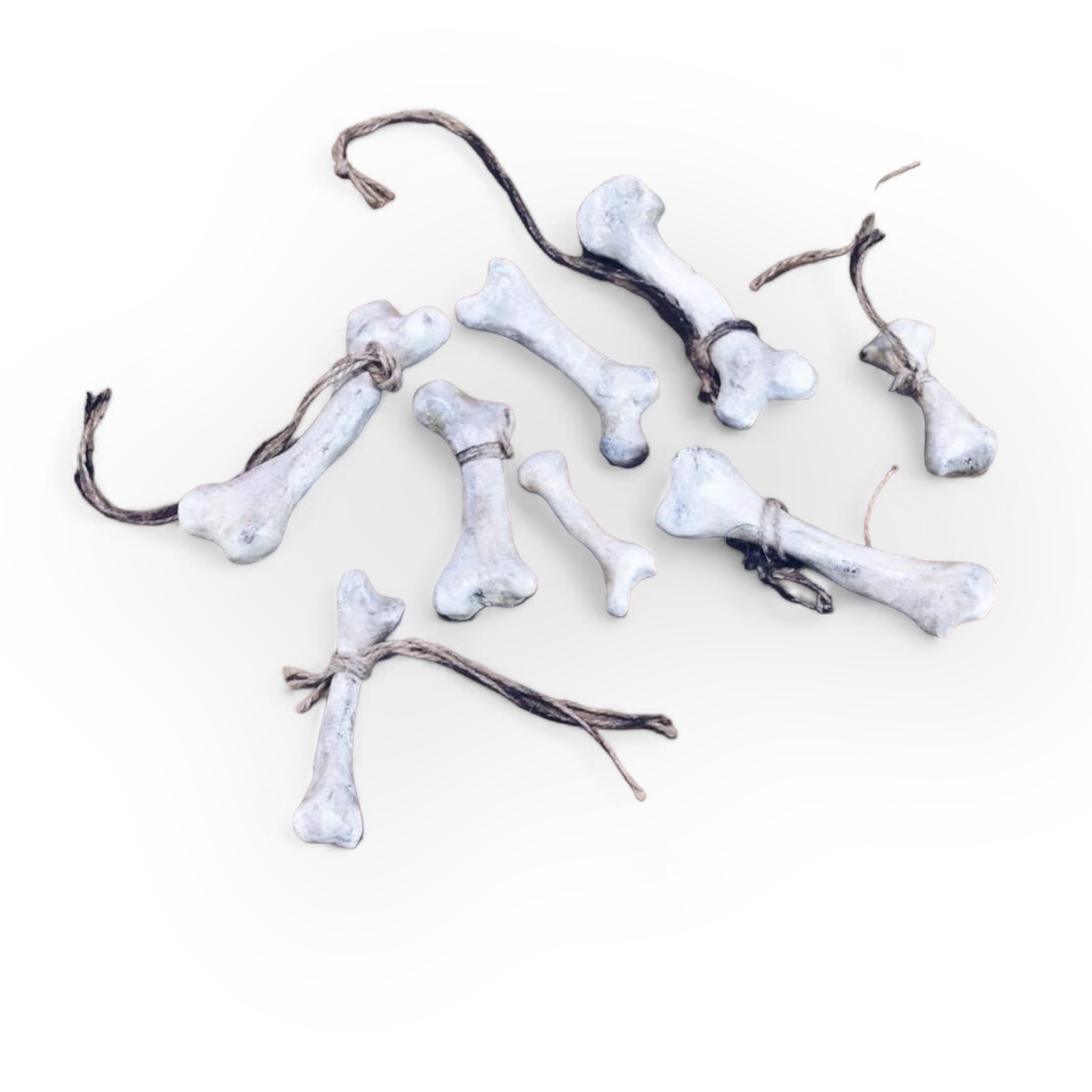 Кістки муляж полімер SK-007