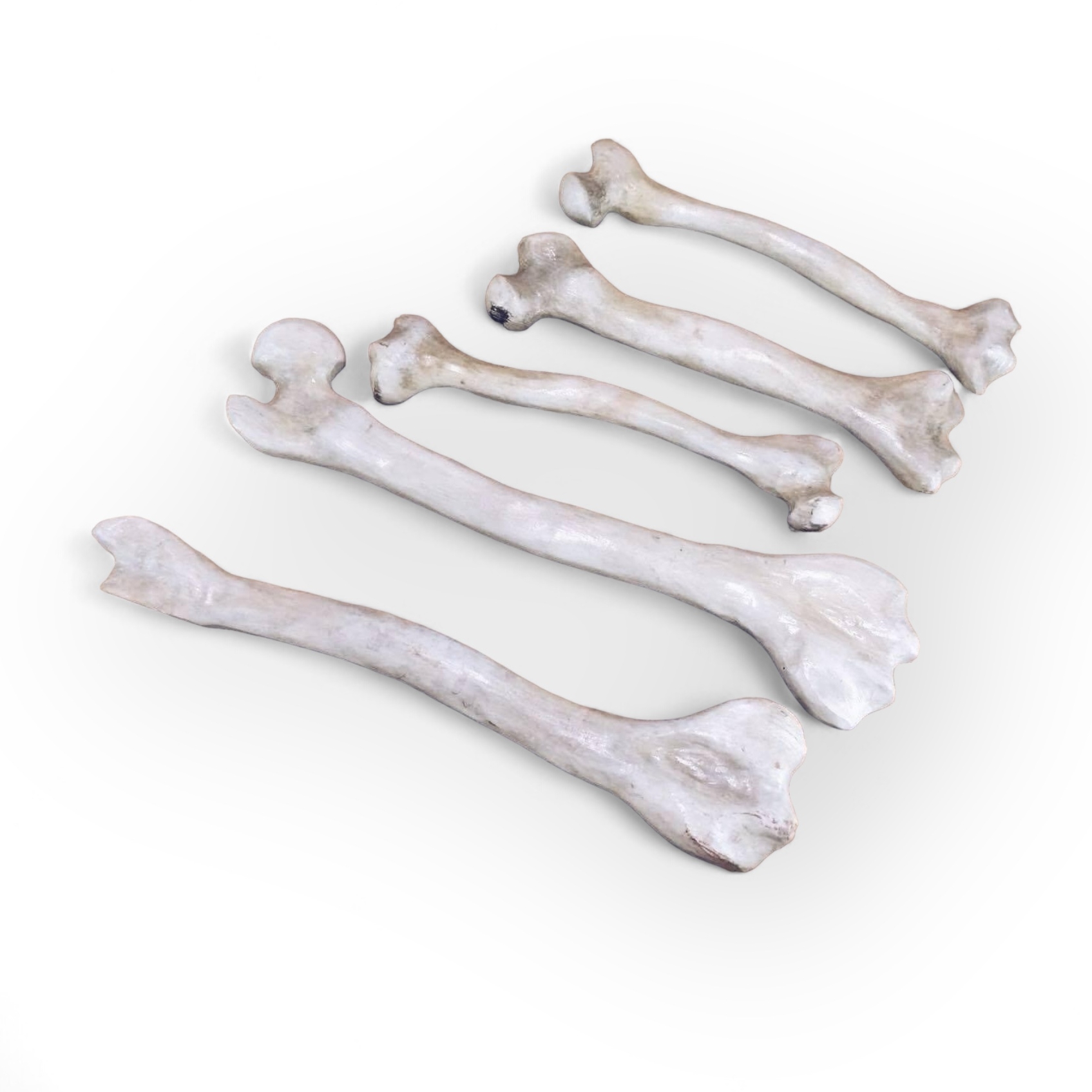 Кістки муляж великі дерево SK-008