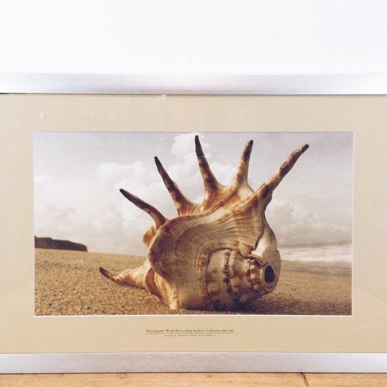 Фото серія "Морський пейзаж. Мушля" в рамі з паспарту AR-107