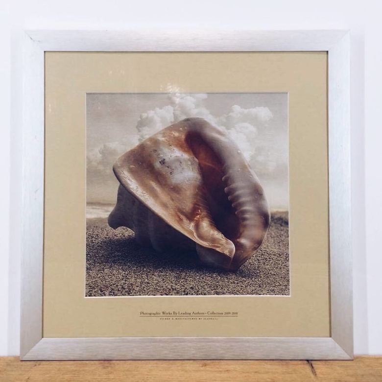 Фото серія "Морський пейзаж. Мушля" в рамі з паспарту AR-138