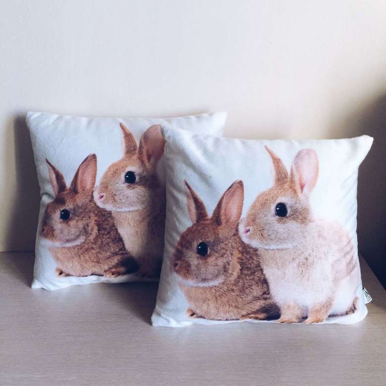 Подушка декоративна принт кролики PW-015