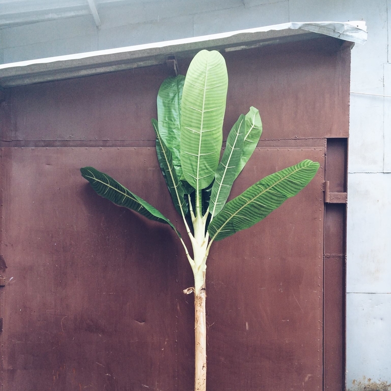 Банан 1,7 м FW-098