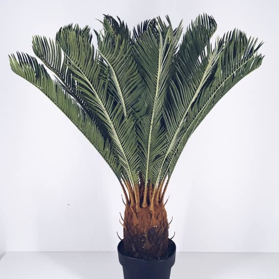 Цикас штучний у вазоні 94 FW-064