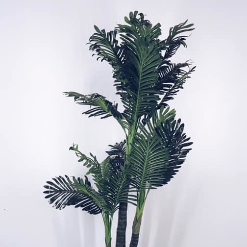 Пальма в кашпо 160  FW-083