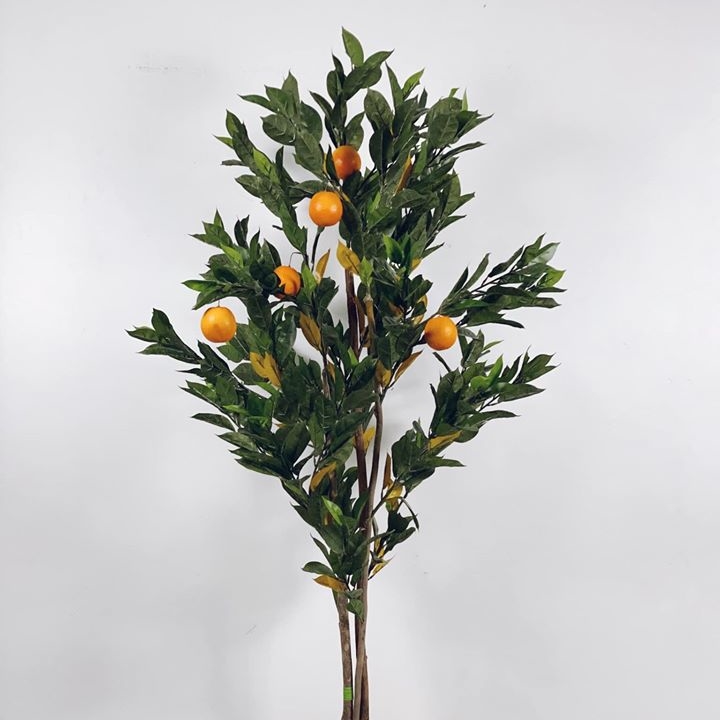 Апельсинове дерево 180 FW-111