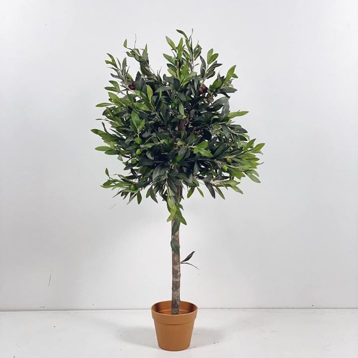 Оливкове дерево у кашпо 110 FW-115